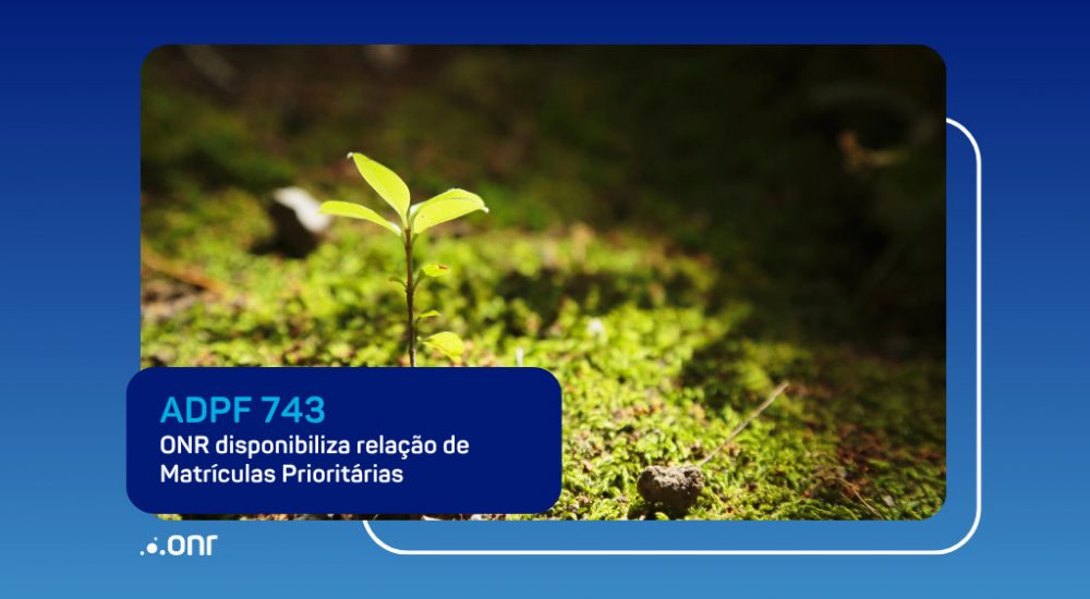 Cópia de 8.526 - ONR - Banner SERP 360 (6)